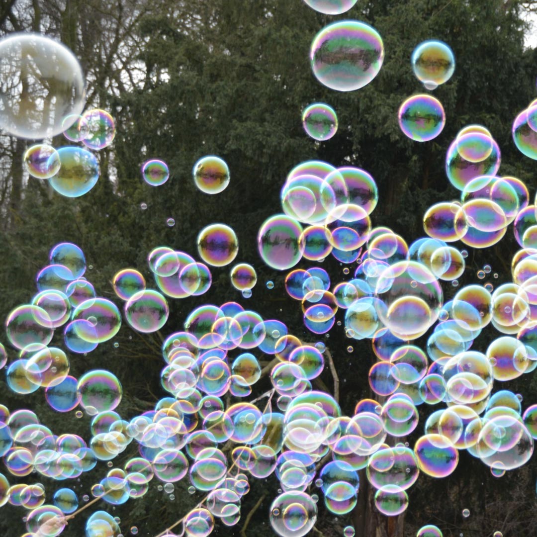 mullimasina-rent-2 Mullimasina rent